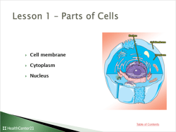 Anatomy__Physiology_Lesson